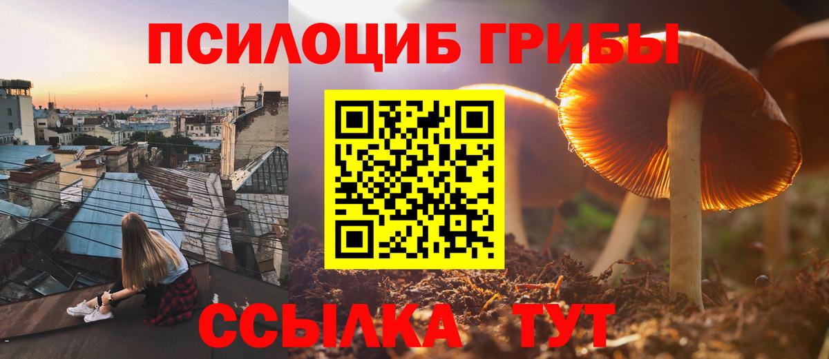 продажа наркотиков  Галлюциногенные грибы Psilocybe  Вход с VPN  Таганрог 